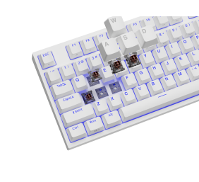 Genesis | Mechanical Gaming Keyboard | THOR 404 TKL RGB | White | Mechanical Gaming Keyboard | Wired | US | USB Type-A | 1005 g | Kailh Box Brown V2