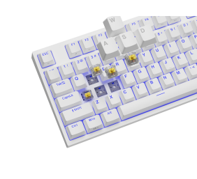 Genesis | Mechanical Gaming Keyboard | THOR 404 TKL RGB | White | Mechanical Gaming Keyboard | Wired | US | USB Type-A | 1005 g | Kailh Box Brown V2