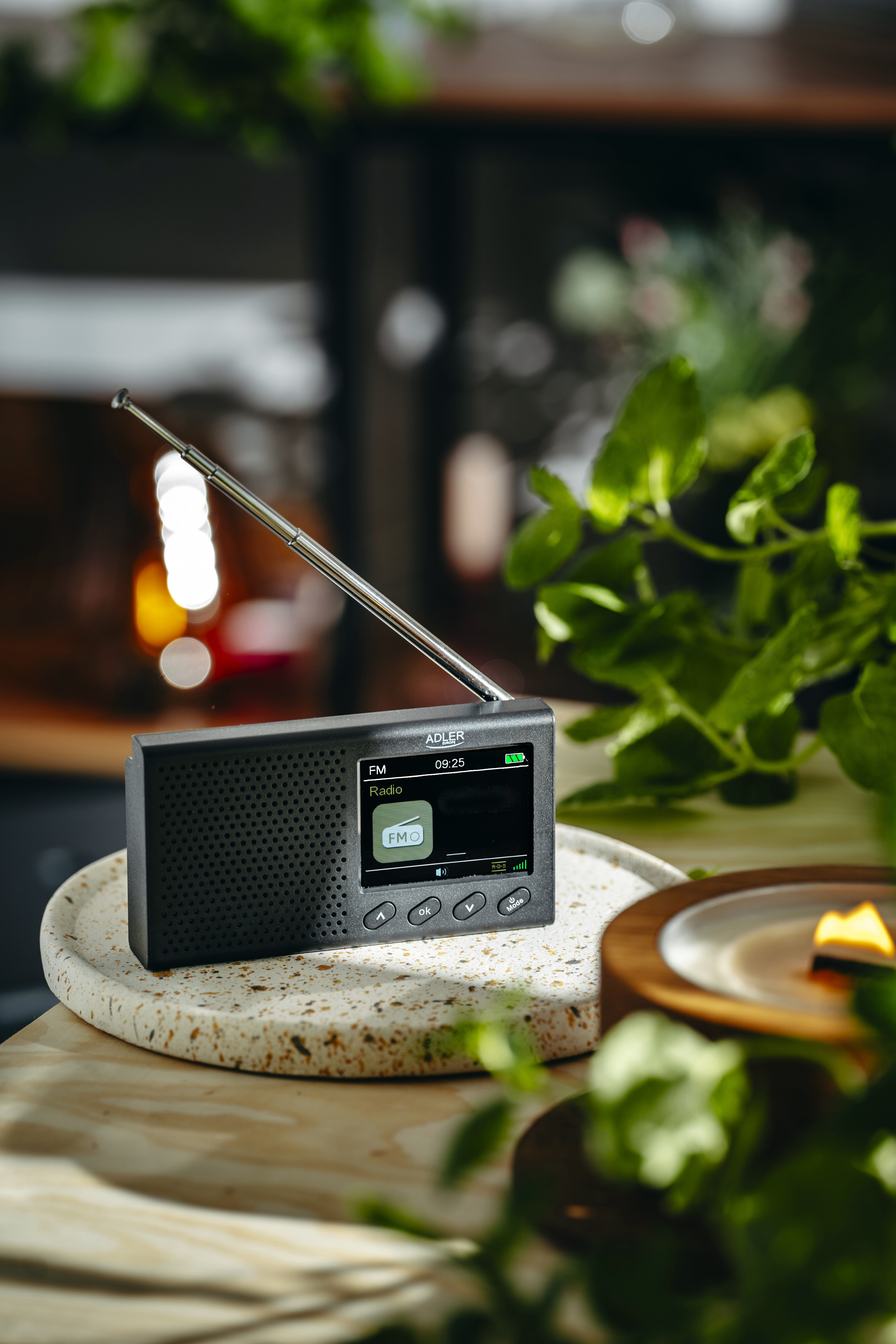 Adler | FM Travel Radio | AD 1198 | Alarm function | Black