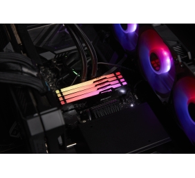 Kingston FURY Beast Black RGB EXPO | 16 GB | DDR5 | 6000 MHz | PC/server | Registered No | ECC No