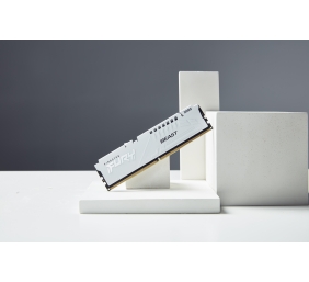 Kingston KF560C30BWE-32 32GB 6000MT/s DDR5 CL30 DIMM FURY Beast White EXPO | Kingston