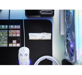 Kingston KF560C30BWEA-16 16GB 6000MT/s DDR5 CL30 DIMM FURY Beast White RGB EXPO | Kingston