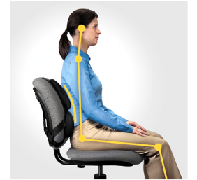Fellowes | Professional back support - Professional Series | Depth 55 mm | Height 365 mm | High-density foam | Width 375 mm