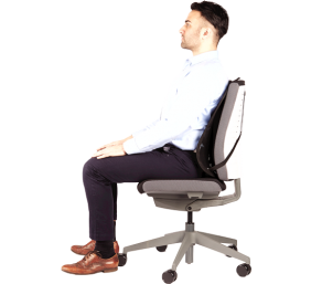 Fellowes | Professional back support with mesh Professional Series | Graphite | Depth 195 mm | Height 370 mm | Mesh textile | Width 304 mm