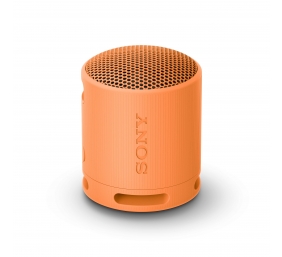 Sony SRS-XB100 Portable Wireless Speaker, Light Gray