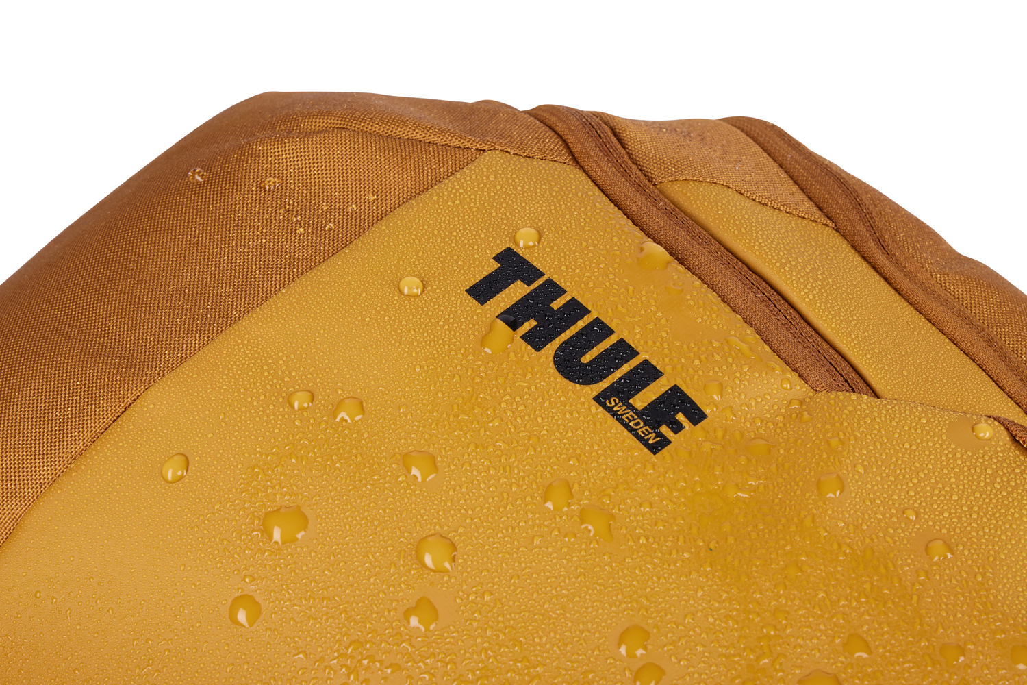 Thule | Chasm | Backpack 26L | Fits up to size 16 " | Laptop backpack | Golden Brown | Waterproof