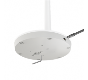 Duux | Fan | Whisper Essence | Stand Fan | Grey | Diameter 33 cm | Number of speeds 7 | Oscillation