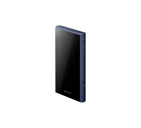 Sony | Walkman A Series Portable Audio Player | NW-A306 | Bluetooth | Internal memory 32 GB | USB connectivity | Wi-Fi