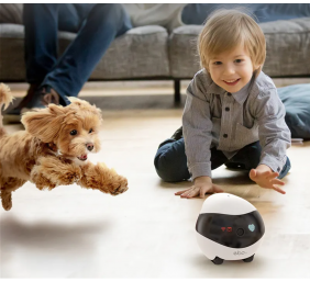 Enabot | EBO SE | Robot IP Camera | Compact | N/A MP | N/A | 16GB external memory, support 256GB at maximum | White