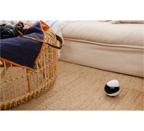 Enabot | EBO SE | Robot IP Camera | Compact | N/A MP | N/A | 16GB external memory, support 256GB at maximum | White