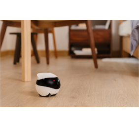 Enabot | EBO SE | Robot IP Camera | Compact | N/A MP | N/A | 16GB external memory, support 256GB at maximum | White