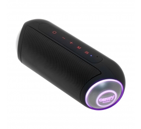 Camry Speaker | CR 1901 | 60 W | Waterproof | Bluetooth | Black | Portable | Wireless connection