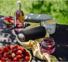 Camry Speaker | CR 1901 | 60 W | Waterproof | Bluetooth | Black | Portable | Wireless connection