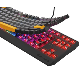 Genesis THOR 230 | Mechanical Gaming Keyboard | Wired | US | Anchor Gray Negative | USB Type-A | Outemu Red