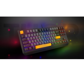 Genesis THOR 230 | Mechanical Gaming Keyboard | Wired | US | Anchor Gray Negative | USB Type-A | Outemu Red
