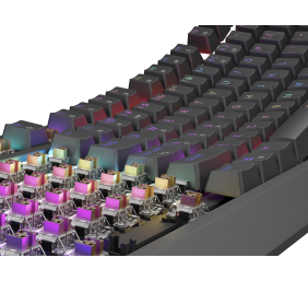 Genesis THOR 230 | Mechanical Gaming Keyboard | Wired | US | Black | USB Type-A | Outemu Brown