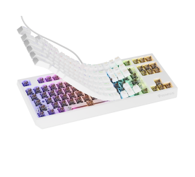 Genesis THOR 230 | Mechanical Gaming Keyboard | Wired | US | White | USB Type-A | Outemu Brown