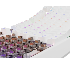 Genesis THOR 230 | Mechanical Gaming Keyboard | Wired | US | White | USB Type-A | Outemu Brown