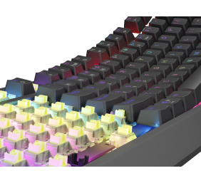 Genesis THOR 230 | Mechanical Gaming Keyboard | Wireless | US | Black | 2.4 GHz, Bluetooth, USB | Outemu Silent Lemon