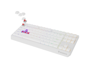 Genesis THOR 230 | Mechanical Gaming Keyboard | Wireless | US | White | 2.4 GHz, Bluetooth, USB | Outemu Red