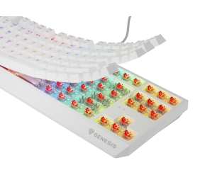 Genesis THOR 230 | Mechanical Gaming Keyboard | Wireless | US | White | 2.4 GHz, Bluetooth, USB | Outemu Red