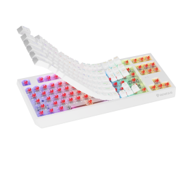 Genesis THOR 230 | Mechanical Gaming Keyboard | Wireless | US | White | 2.4 GHz, Bluetooth, USB | Outemu Red