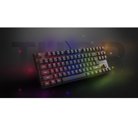 Genesis THOR 303 | Mechanical Gaming Keyboard | Wired | US | Black | USB Type-A | Outemu Peach Silent