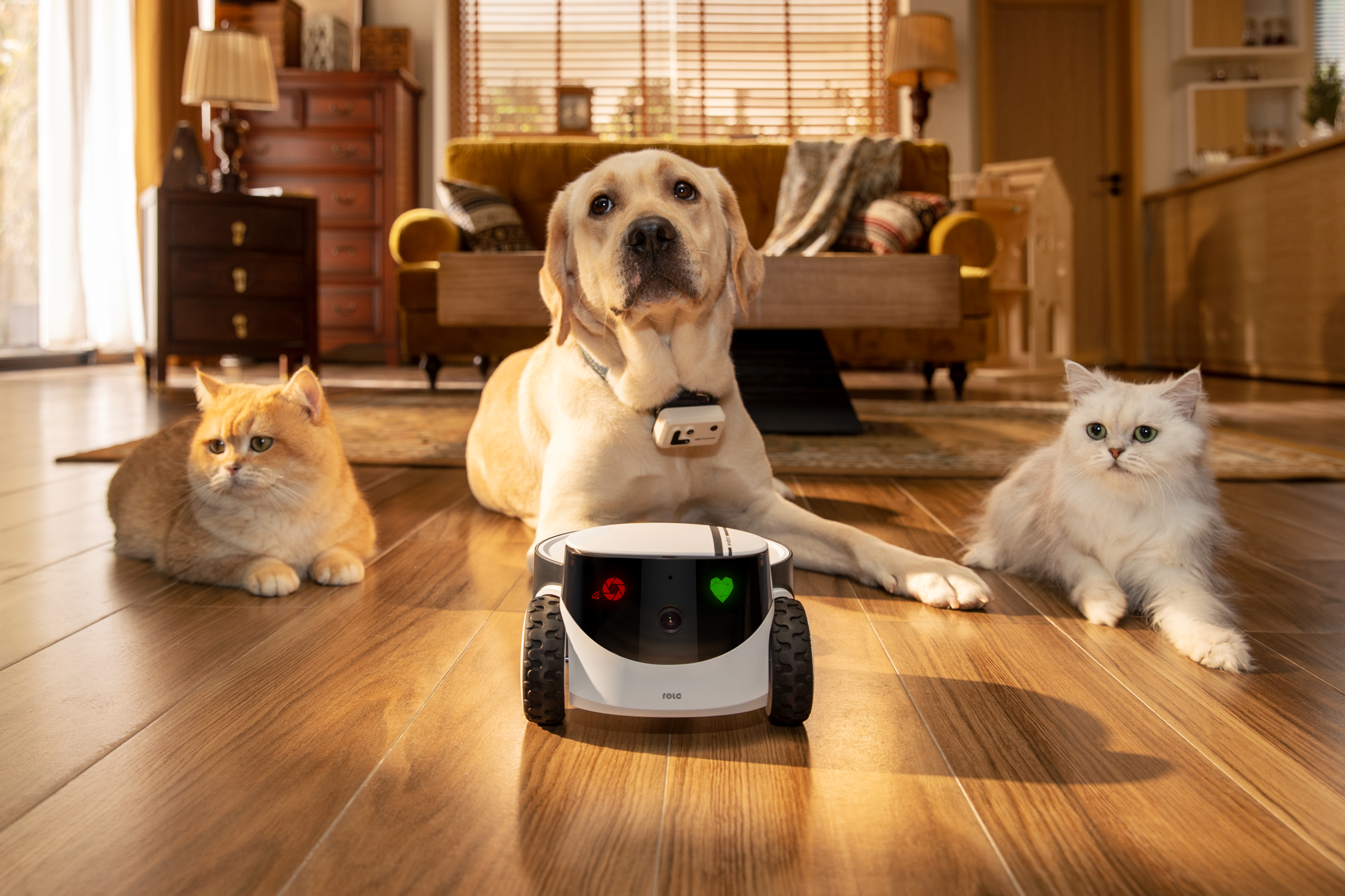 Enabot | Family Robot IP Camera | ROLA PetPal