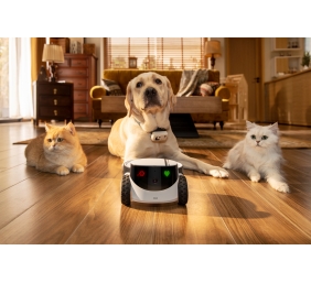Enabot | Family Robot IP Camera | ROLA PetPal