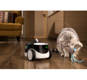 Enabot | Family Robot IP Camera | ROLA PetPal