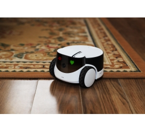 Enabot | Family Robot IP Camera | ROLA PetPal