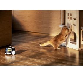 Enabot | Family Robot IP Camera | ROLA PetPal