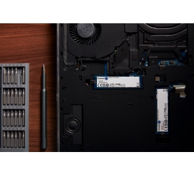 Kingston SSD | NV3 | 1000 GB | SSD form factor M.2 2280 | Solid-state drive interface PCIe NVMe Gen 4.0 (x4) | Read speed 6000 MB/s | Write speed 4000 MB/s