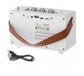 Camry Speaker with radio | CR 1902 W | 5 W | Bluetooth | White | Wireless connection