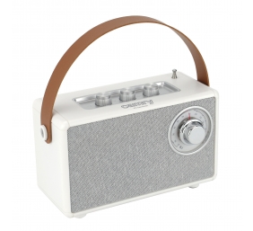 Camry Speaker with radio | CR 1902 W | 5 W | Bluetooth | White | Wireless connection
