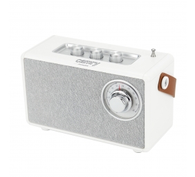 Camry Speaker with radio | CR 1902 W | 5 W | Bluetooth | White | Wireless connection