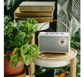 Camry Speaker with radio | CR 1902 W | 5 W | Bluetooth | White | Wireless connection