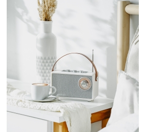 Camry Speaker with radio | CR 1902 W | 5 W | Bluetooth | White | Wireless connection