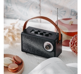 Camry Speaker with radio | CR 1902 B | 5 W | Bluetooth | Black | Wireless connection