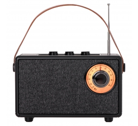 Camry Speaker with radio | CR 1902 B | 5 W | Bluetooth | Black | Wireless connection
