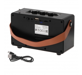 Camry Speaker with radio | CR 1902 B | 5 W | Bluetooth | Black | Wireless connection