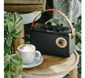 Camry Speaker with radio | CR 1902 B | 5 W | Bluetooth | Black | Wireless connection
