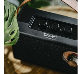 Camry Speaker with radio | CR 1902 B | 5 W | Bluetooth | Black | Wireless connection