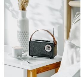 Camry Speaker with radio | CR 1902 B | 5 W | Bluetooth | Black | Wireless connection