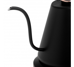Adler Kettle | AD 1349 | Electric | 1100 W | 1 L | Stainless steel | 360° rotational base | Black/Gold