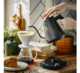 Adler Kettle | AD 1349 | Electric | 1100 W | 1 L | Stainless steel | 360° rotational base | Black/Gold