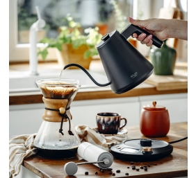 Adler Kettle | AD 1349 | Electric | 1100 W | 1 L | Stainless steel | 360° rotational base | Black/Gold