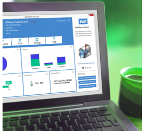 WD Green SATA 480GB Internal M.2 SSD