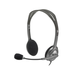 Ausinės Logitech H110 Stereo (981-000271)