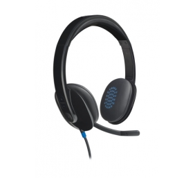 Logitech H540 Laidinės ausinės, USB-A, Juoda
